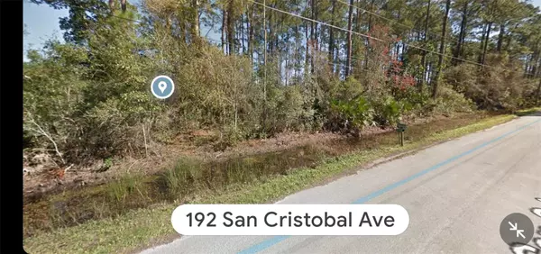 East Palatka, FL 32131,192 SAN CRISTOBAL AVE