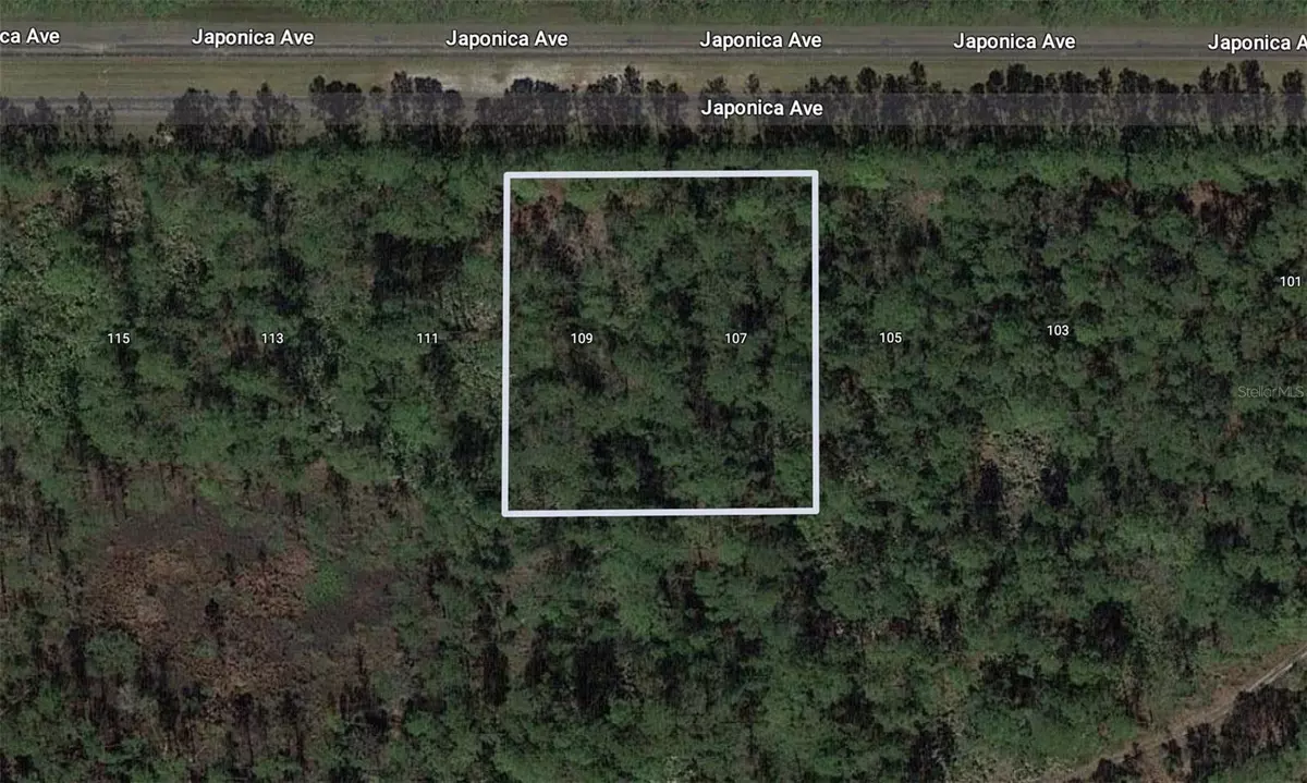 Indian Lake Estates, FL 33855,109 JAPONICA AVE