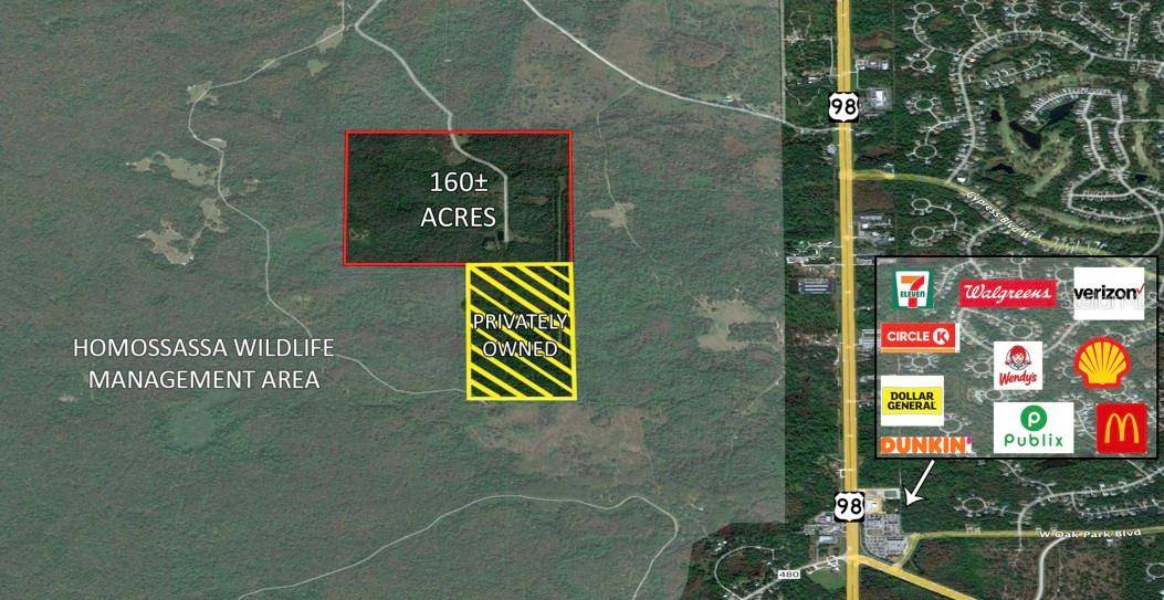 8350 S MCLAUGHLIN TRL, Homosassa, FL 34448