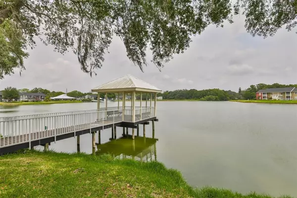 Brandon, FL 33511,221 LAKE BROOK CIR #203