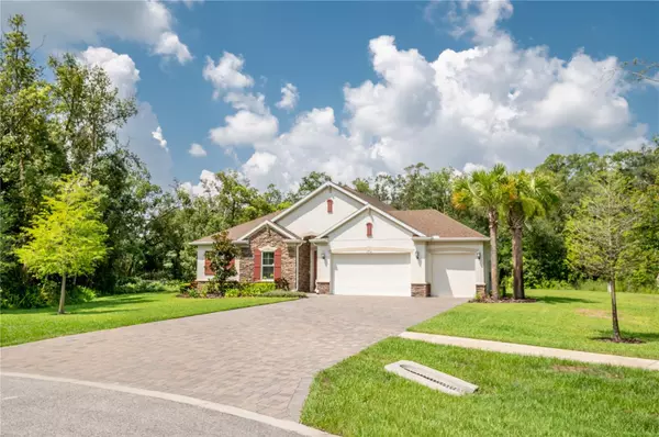 Lutz, FL 33549,17704 ESTUARY GROVE PL