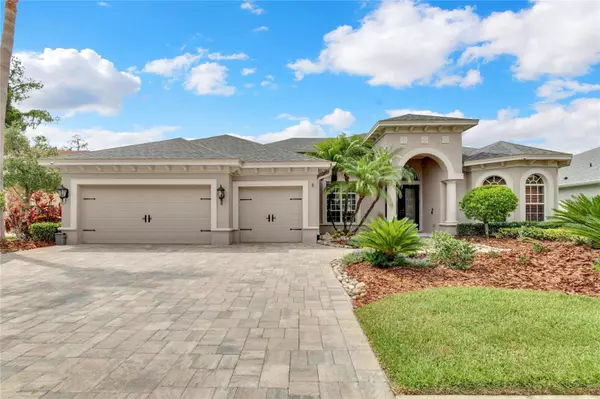 Wesley Chapel, FL 33544,27124 WINGED ELM DR