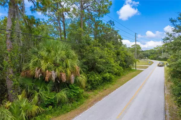 New Port Richey, FL 34654,TANGLEWOOD