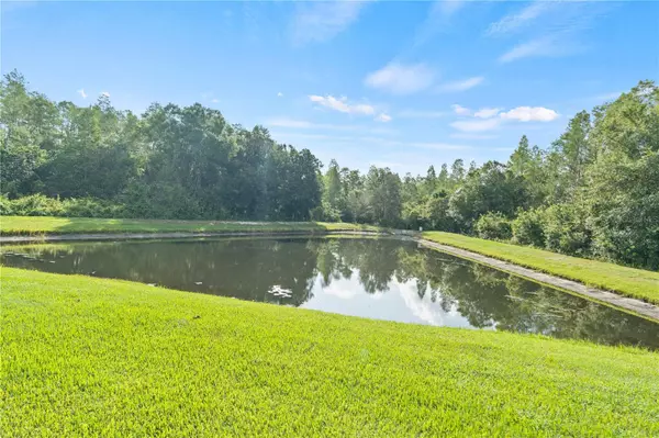 Lutz, FL 33558,5014 BRIDGEWAY LN