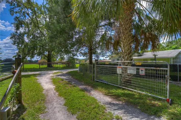 Zephyrhills, FL 33541,3146 DRUM RD