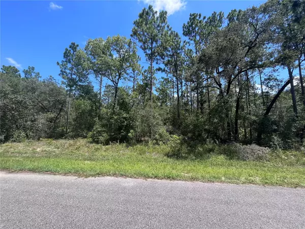 Citrus Springs, FL 34433,3354 W EARLY PL