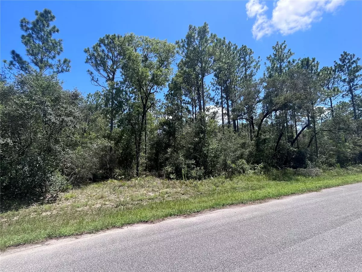 Citrus Springs, FL 34433,3354 W EARLY PL