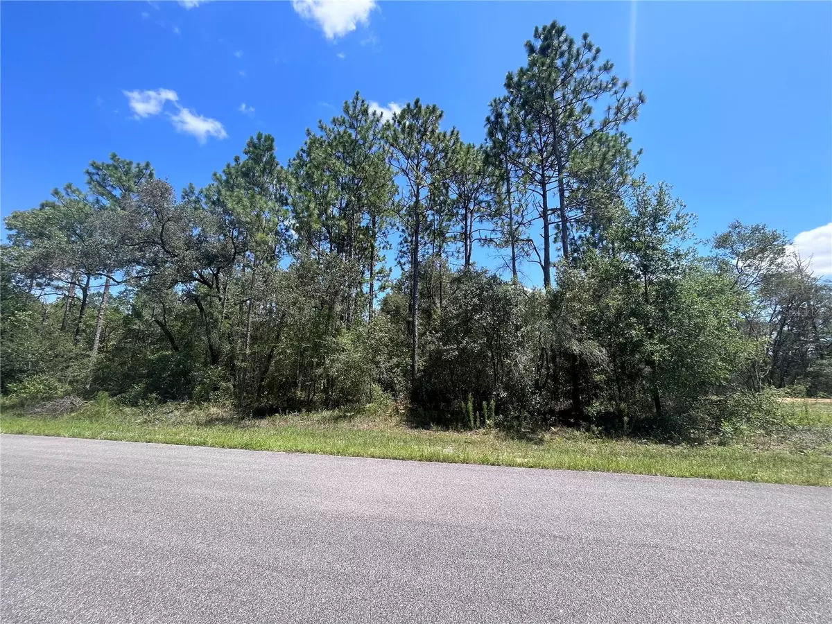 Citrus Springs, FL 34433,3370 W EARLY PL