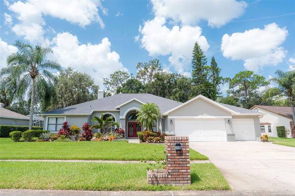 3810 NORTHRIDGE DR, Valrico, FL 33596