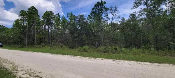 Weeki Wachee, FL 34614,16036 MARSH QUAIL RD