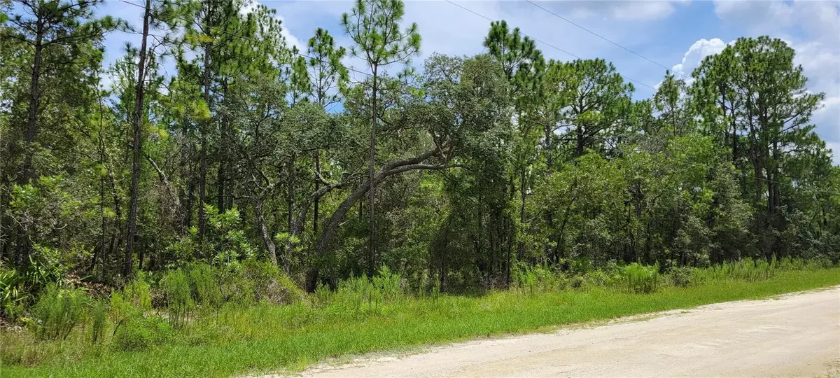 Weeki Wachee, FL 34614,16036 MARSH QUAIL RD