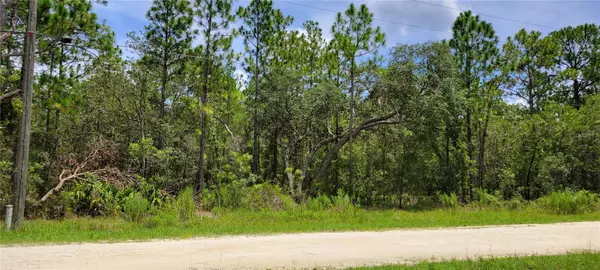 Weeki Wachee, FL 34614,16036 MARSH QUAIL RD