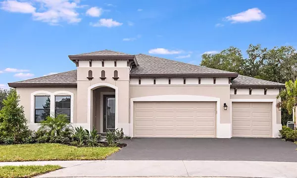 12813 TORTOISE SHELL PL,  Riverview,  FL 33579