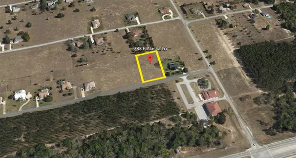 Hernando, FL 34442,783 E ALASKA LN