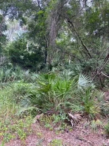 Inglis, FL 34449,OUR RD