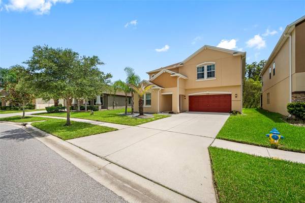 19194 ALEXANDREA LEE CT, Land O Lakes, FL 34638