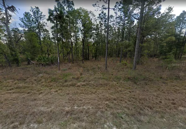 Weeki Wachee, FL 34614,15262 COOT RD