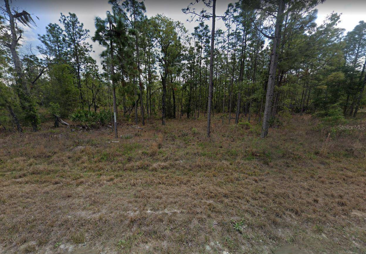 15252 COOT RD, Weeki Wachee, FL 34614