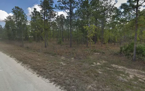 Weeki Wachee, FL 34614,15252 COOT RD