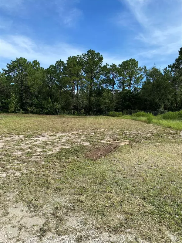 Brooksville, FL 34604,0 NAPLES ST