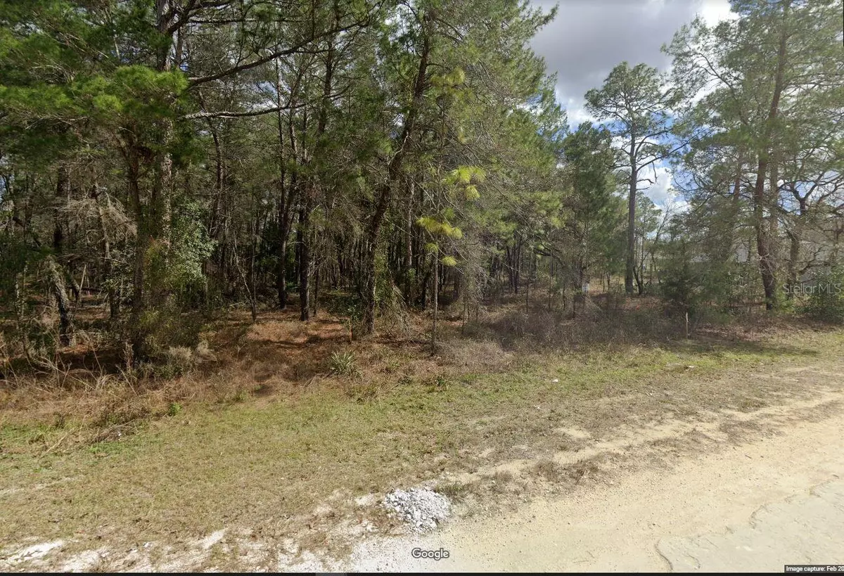 Weeki Wachee, FL 34614,14490 LELANI DR