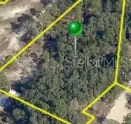 . MILGATE CT, Weeki Wachee, FL 34614