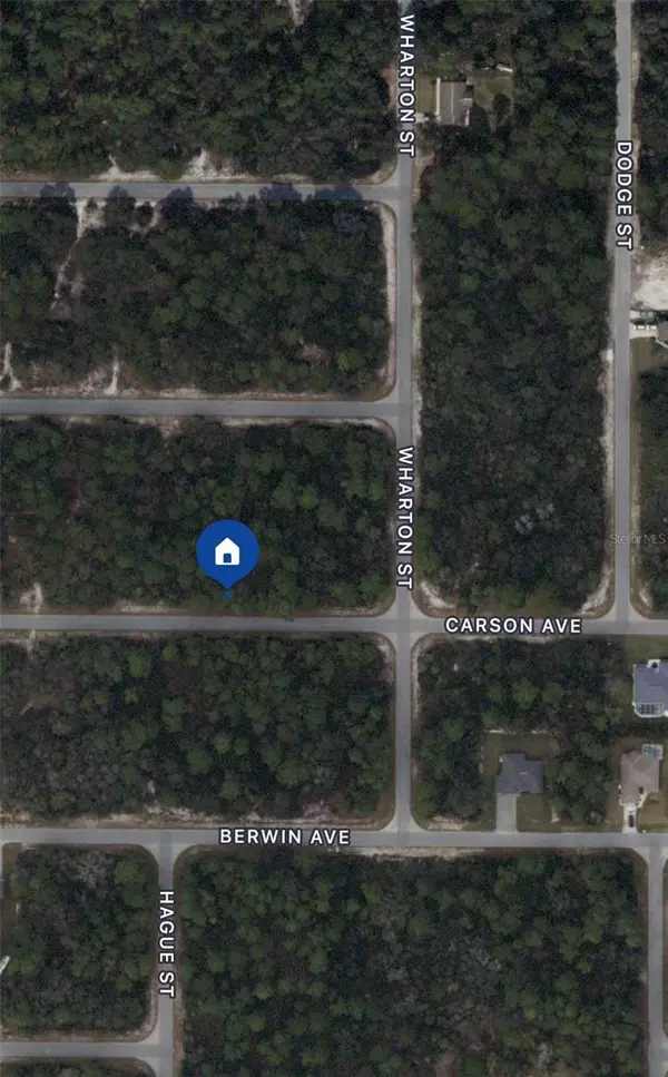 Port Charlotte, FL 33948,17124 CARSON AVE