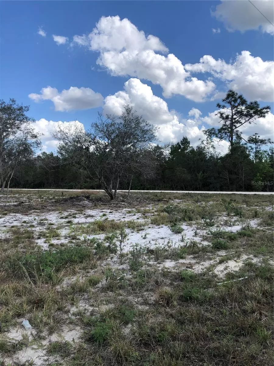 Venus, FL 33960,491 HOBBS DR