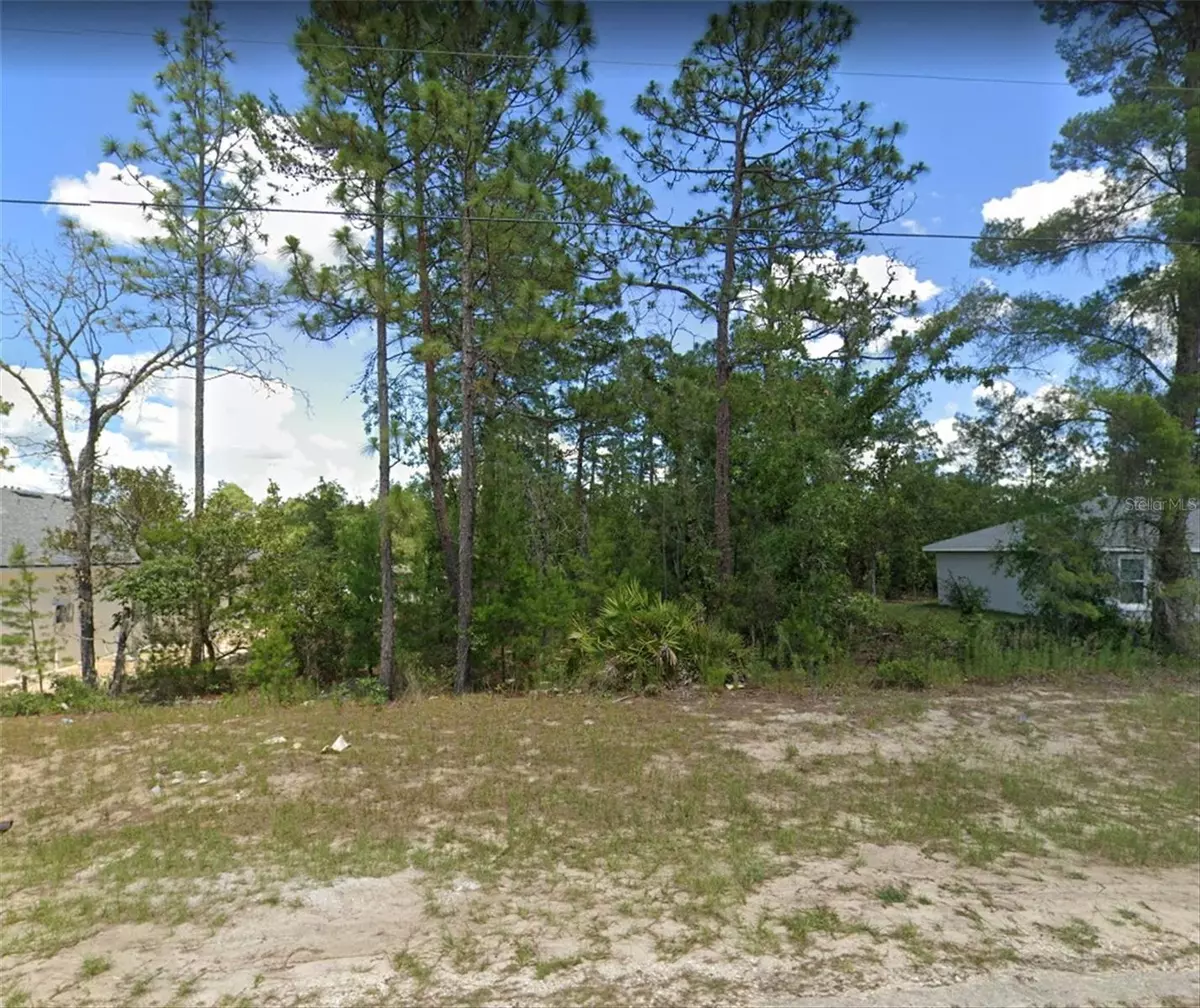 Ocala, FL 34473,TBD SW 78TH CIR