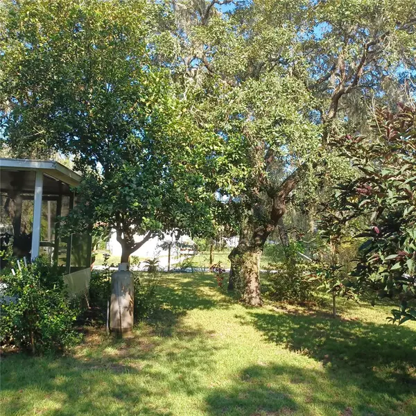 New Port Richey, FL 34654,11640 DOAKS ST