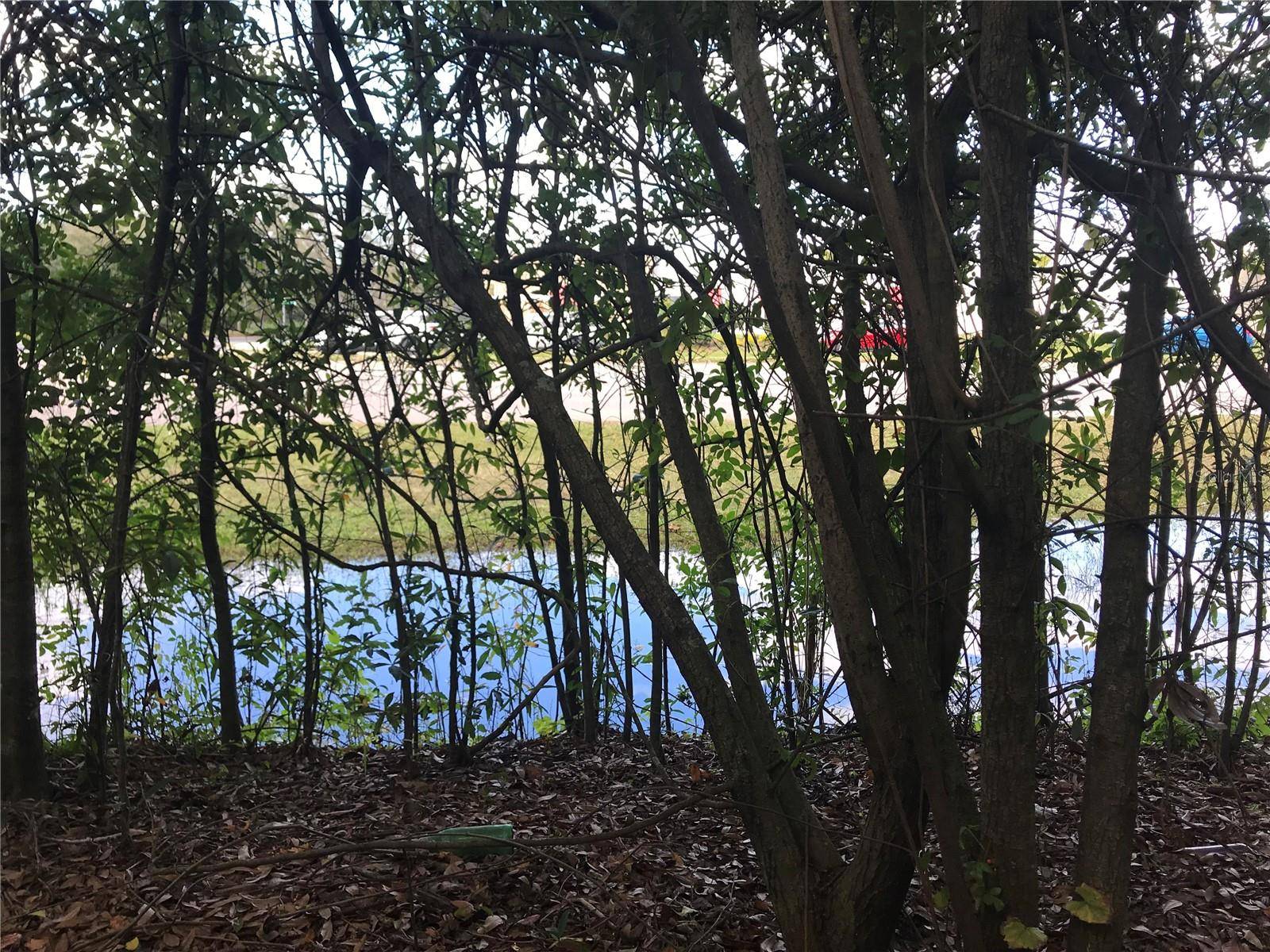 S FALKENBURG RD, Riverview, FL 33578