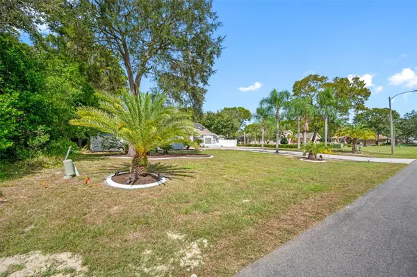 Spring Hill, FL 34608,9457 AMORITE CT