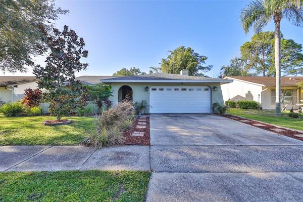 11703 COUNTRY RUN RD, Tampa, FL 33624