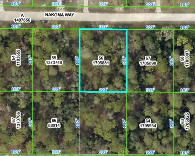 NAKOMA WAY, Weeki Wachee, FL 34613