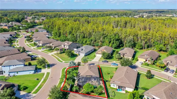 Land O Lakes, FL 34638,8420 MAY PORT CT