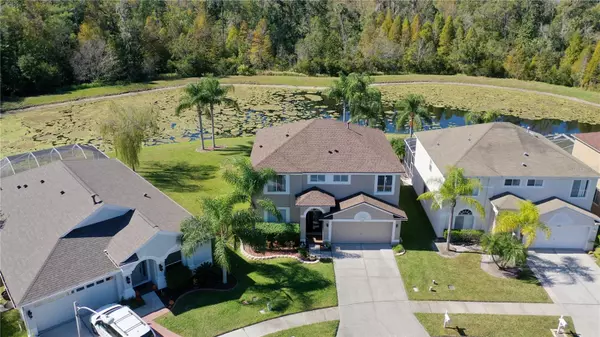 Land O Lakes, FL 34639,25143 GEDDY DR