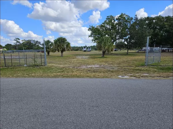 Wimauma, FL 33598,0000 9TH ST