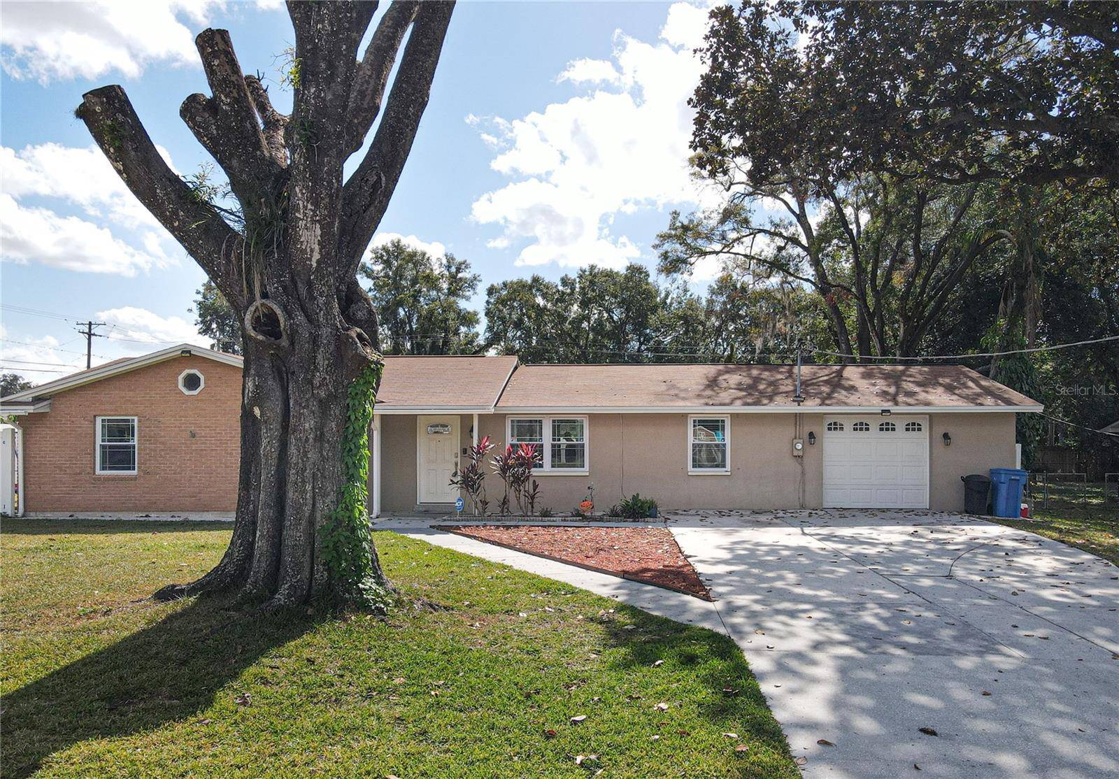 704 CAMELLIA CT, Seffner, FL 33584