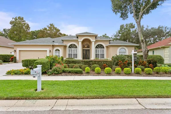 7115 WAREHAM DR,  Tampa,  FL 33647