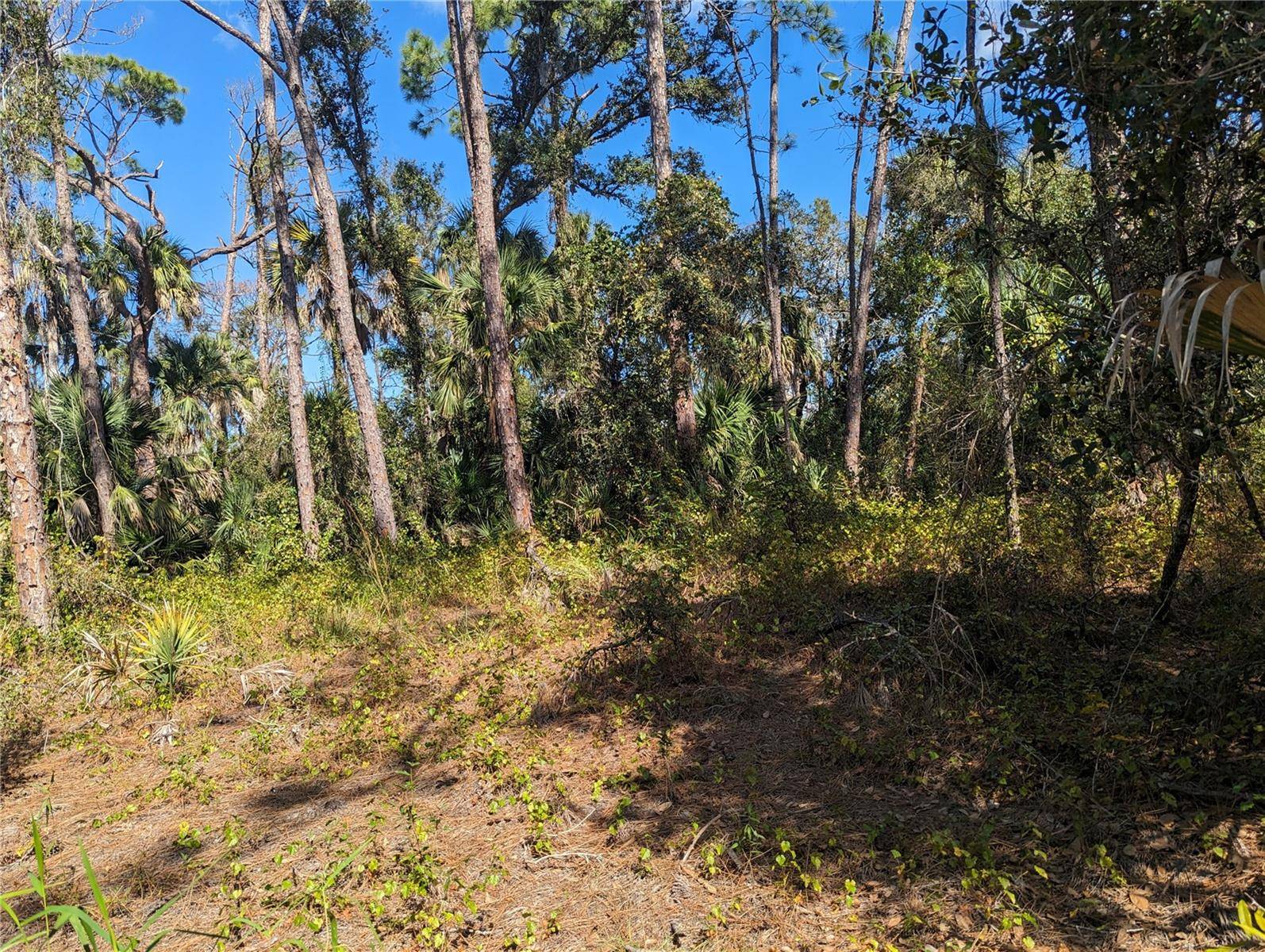 North Port, FL 34286,0 APRICOLA RD #Lot 14