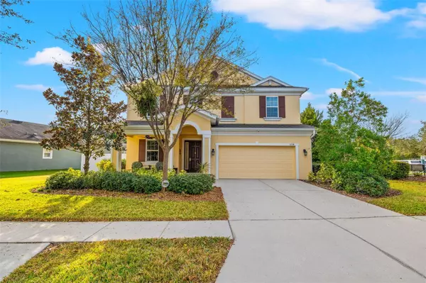 Wesley Chapel, FL 33545,6338 HAWK GROVE CT