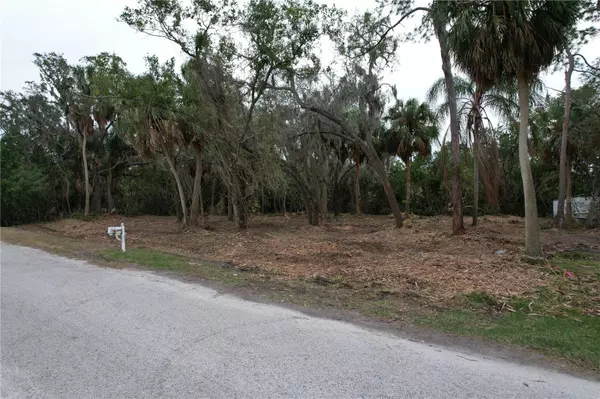 Ruskin, FL 33570,Lot 256 NW 2ND AVE