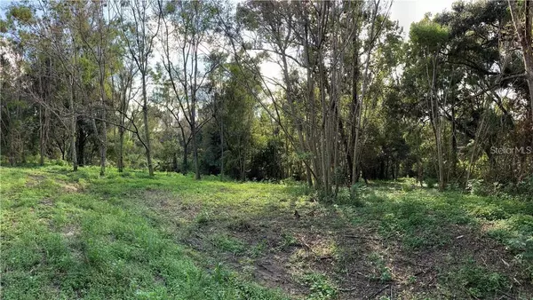 359 SAVANNAH OAKS DR,  Brooksville,  FL 34602