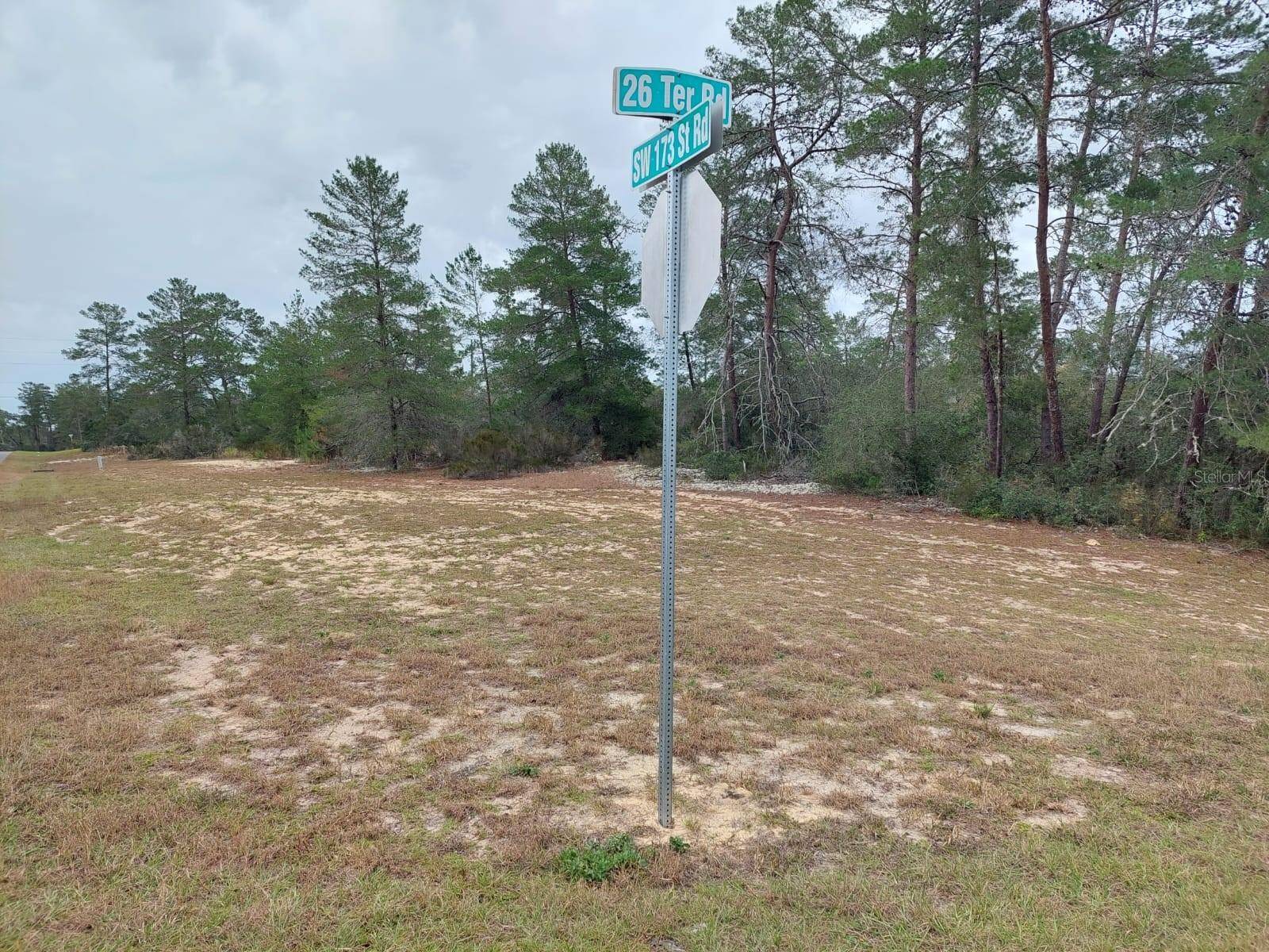 TBD SW 173 STREET RD RD, Ocala, FL 34473