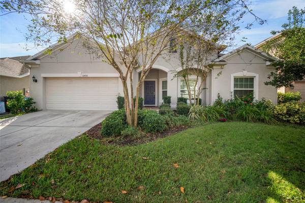 10438 FLAGSTAFF FALLS AVE,  Riverview,  FL 33578