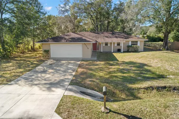 Lutz, FL 33549,17316 LYNNETTE DR