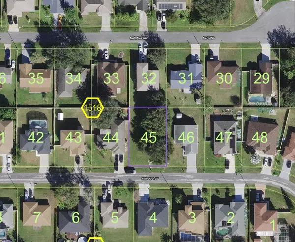 313 FERRARA CT, Kissimmee, FL 34758