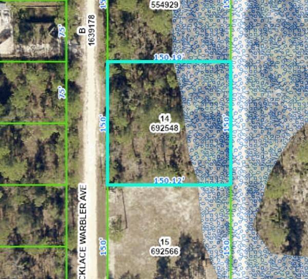 0 NECKLACE WARBLER AVE, Weeki Wachee, FL 34614