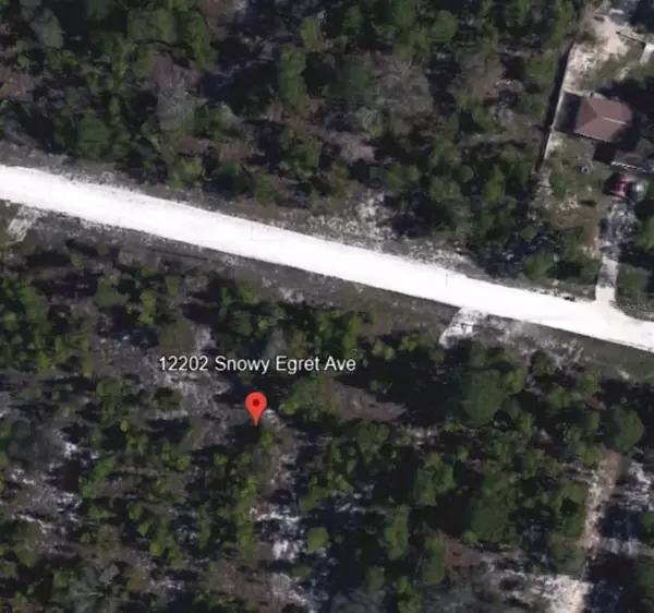 Weeki Wachee, FL 34614,12202 SNOWY EGRET AVE