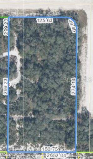 2301 W LITTLE RD, Avon Park, FL 33825